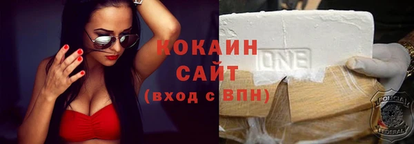 индика Армянск