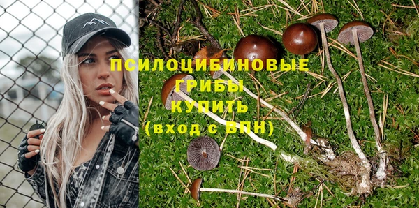 индика Армянск