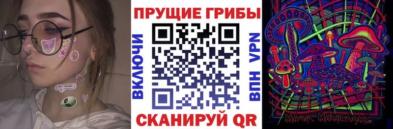 как найти наркотики  Карачаевск  Псилоцибиновые грибы Magic Shrooms 