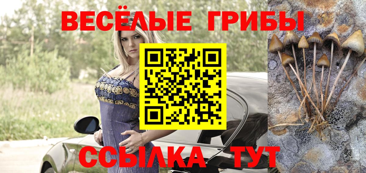 Псилоцибиновые грибы Cubensis  Вход с VPN  Карачаевск 