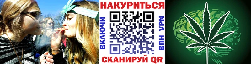 Каннабис сатива Карачаевск
